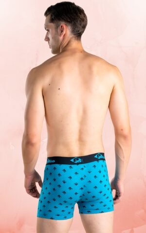 CRITO Mens Cotton HIT Trunks Print